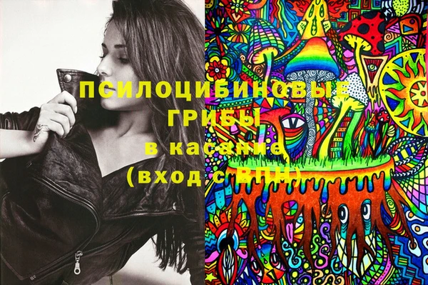 гидропоника Медвежьегорск