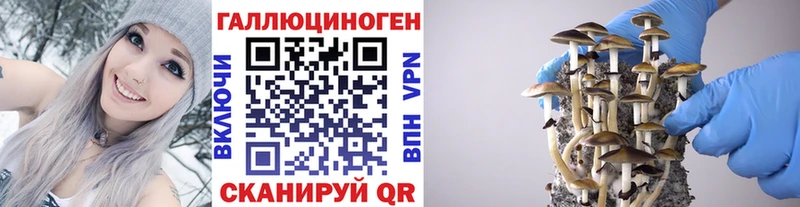 даркнет как зайти  Тбилисская  Псилоцибиновые грибы ЛСД  дарнет шоп 